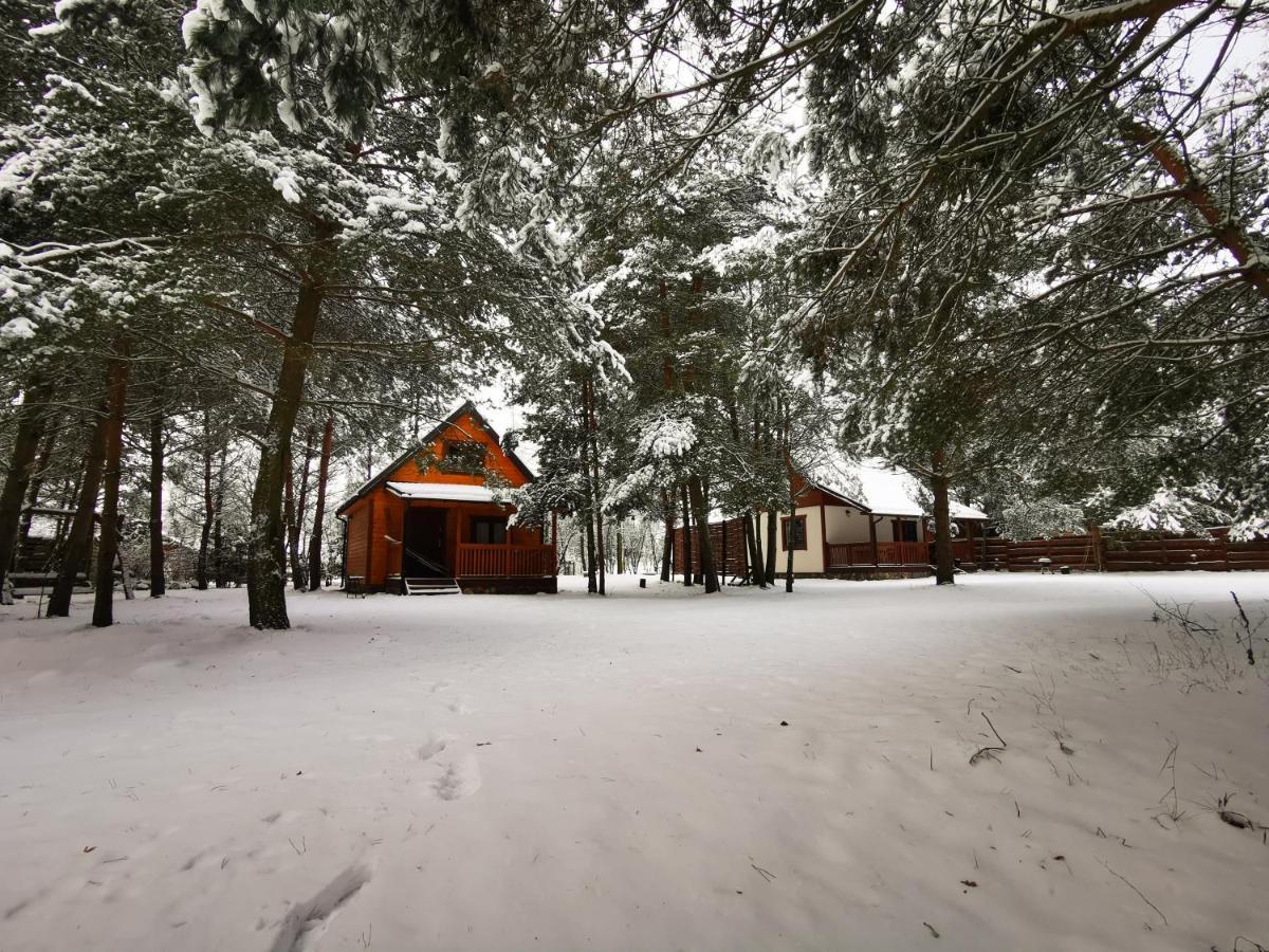 Ostoja Stacze Villa Dış mekan fotoğraf