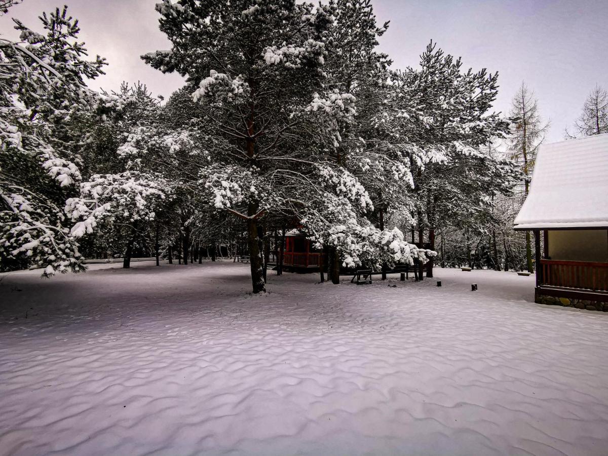 Ostoja Stacze Villa Dış mekan fotoğraf