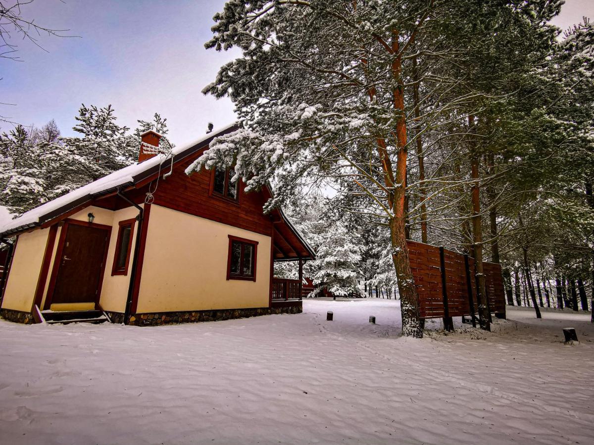 Ostoja Stacze Villa Dış mekan fotoğraf