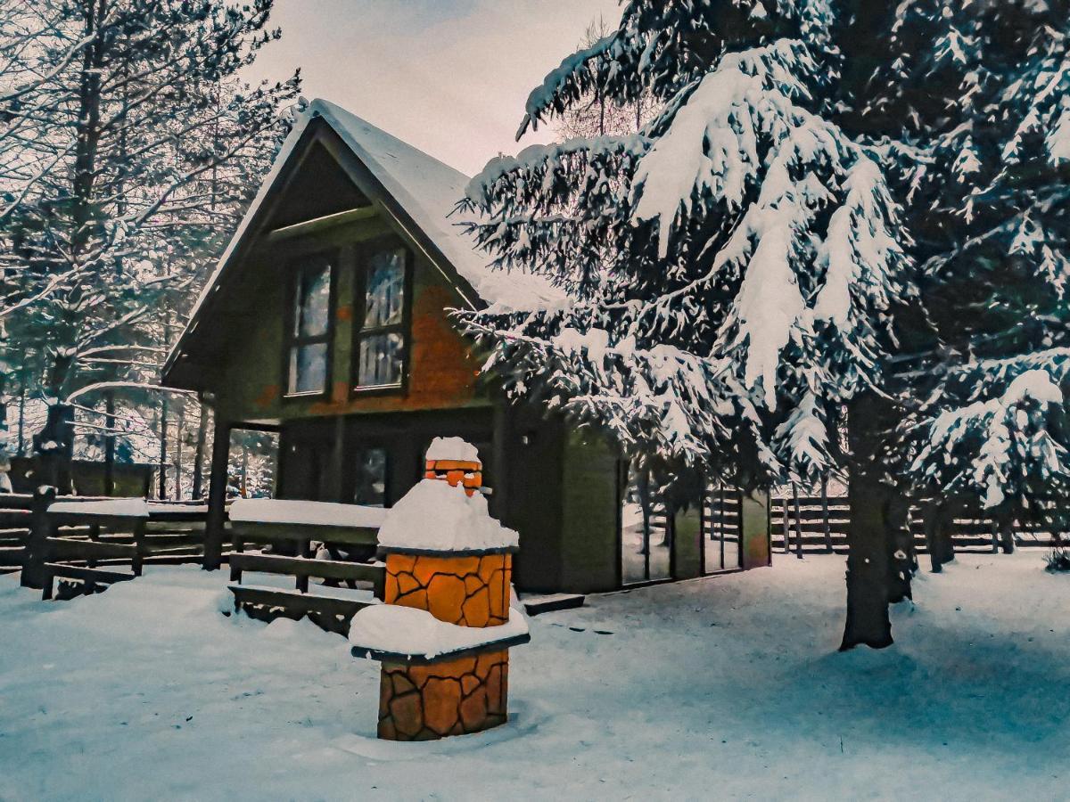 Ostoja Stacze Villa Dış mekan fotoğraf