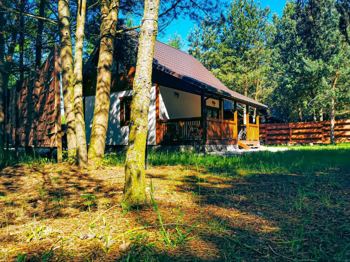 Ostoja Stacze Villa Dış mekan fotoğraf